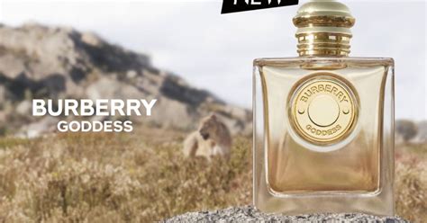 free sample my burberry|Burberry goddess tester.